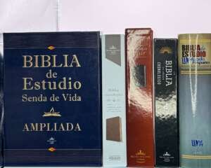 Biblias de Estudio y Lectura Cronológica
