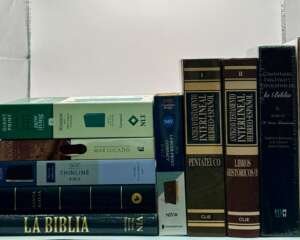 Biblias de Lectura y Referencia Bíblica
