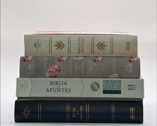 Colección de Biblias de Apuntes (Journaling Bibles)