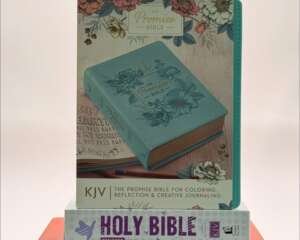 Biblia My Promise - Journaling