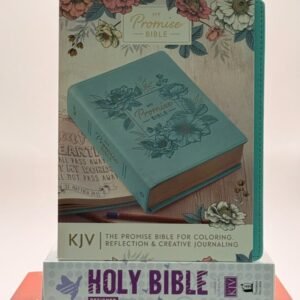 Biblia My Promise - Journaling