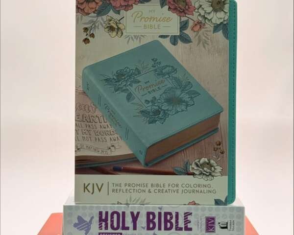 Biblia My Promise - Journaling