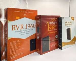Biblias RVR 1960: Letra Súper Gigante y Diario Vivir