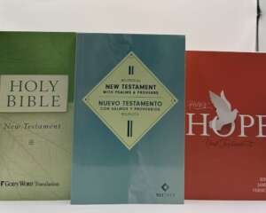 Colección de Biblias y Nuevos Testamentos bilingües para estudio profundo. Encuentra las mejores ediciones en Librería Bendición para el Mundo.